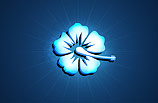 Hibiscus desktop wallpaper - 2008